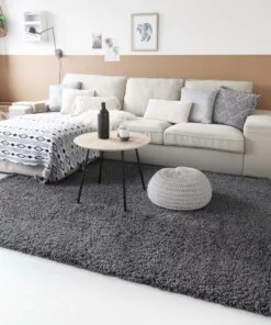 Tapis poils longs Shaggy Trend - gris