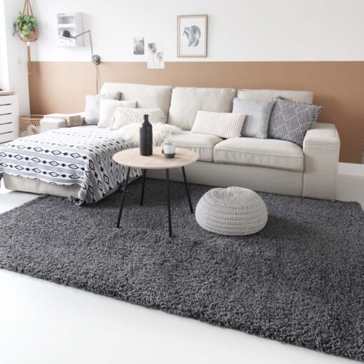 Tapis de couloir à poils longs Shaggy Trend - gris