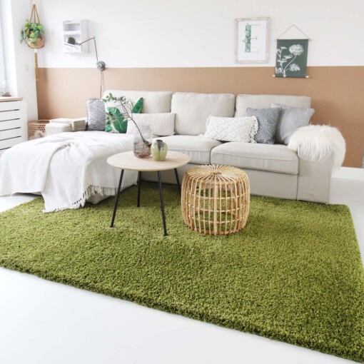Tapis de couloir poils longs Shaggy Trend - vert