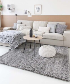 Tapis poils longs Shaggy Trend - gris clair