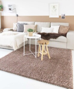 Tapis poils longs Shaggy Trend - Moka