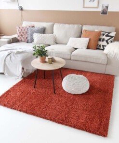 Tapis de couloir poils longs Shaggy Trend - terracota Tapis de couloir poils longs Shaggy Trend - terracota
