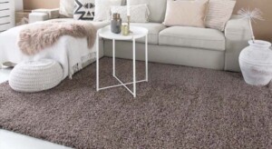Tapis taupe
