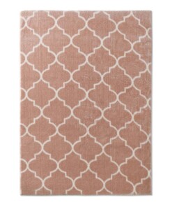 Tapis lavable - Trellis rose/blanc