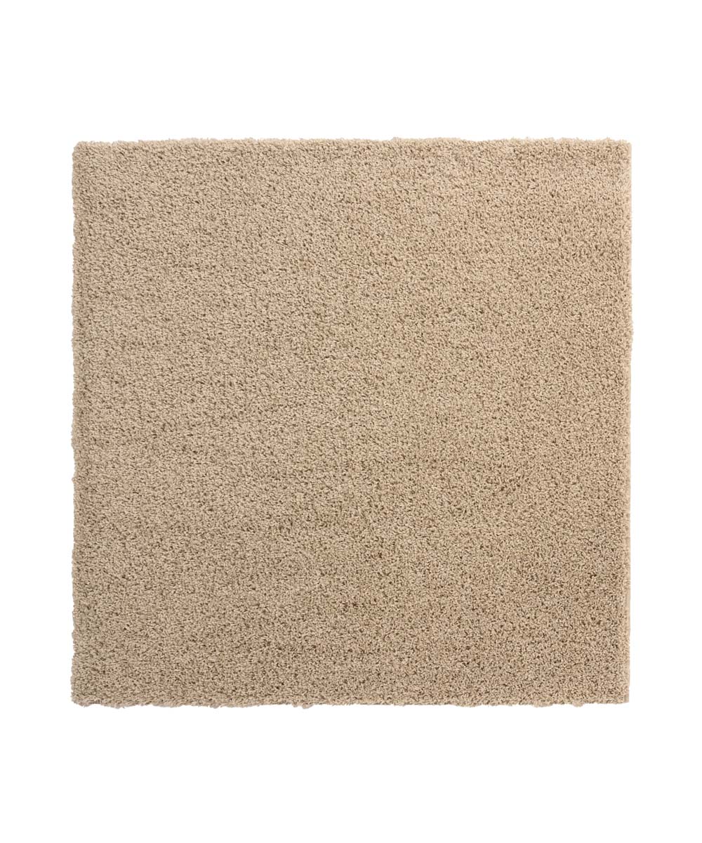Tapis Carré poils longs Shaggy Trend - Champagne - overzicht Tapis Carré poils longs Shaggy Trend - Champagne - overzicht
