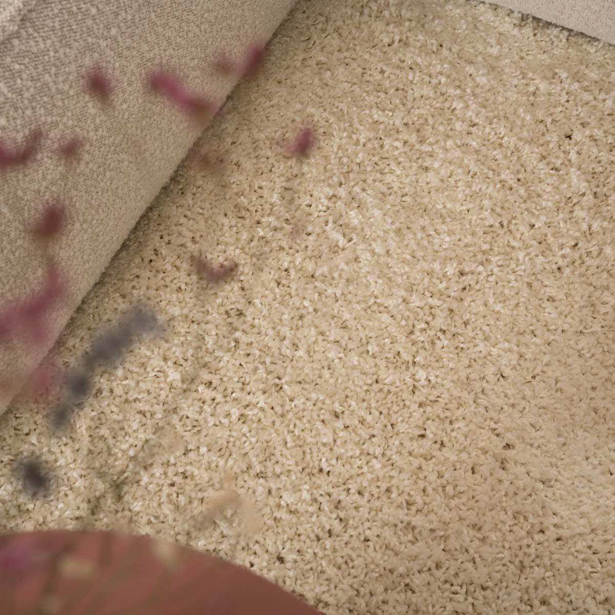 Tapis de couloir poils longs Shaggy Trend - Crème - close up Tapis de couloir poils longs Shaggy Trend - Crème - close up