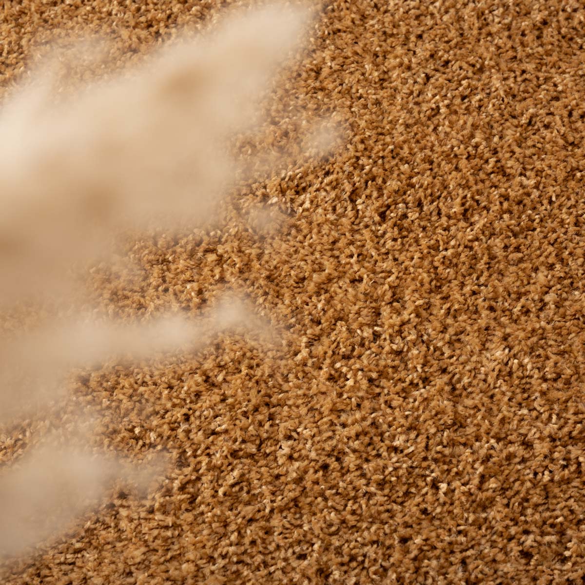 Tapis poils longs Shaggy Trend - or - close up Tapis poils longs Shaggy Trend - or - close up