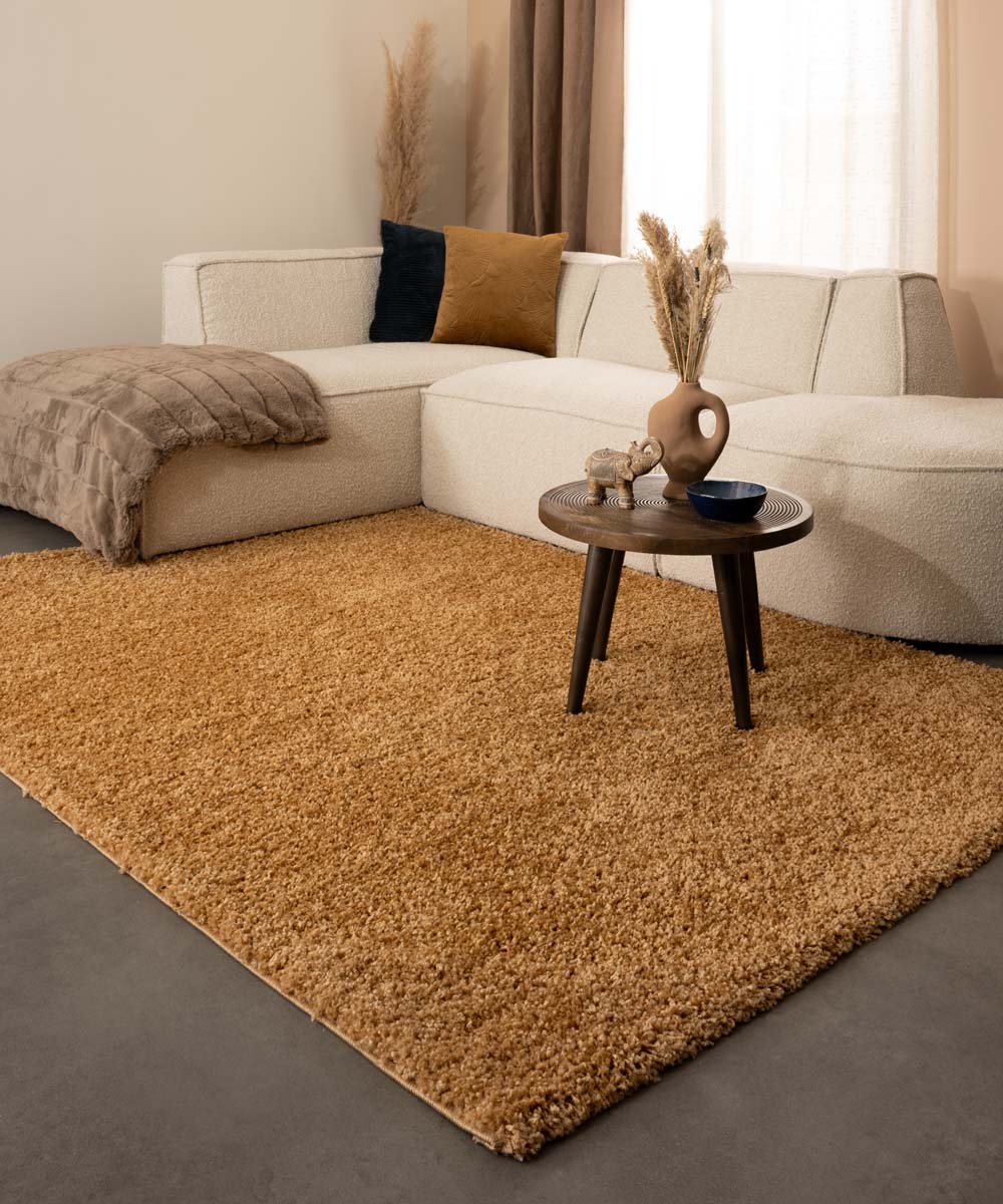 Tapis poils longs Shaggy Trend - or - sfeer Tapis poils longs Shaggy Trend - or - sfeer