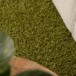 Tapis de couloir poils longs Shaggy Trend - vert - close up, thumbnail