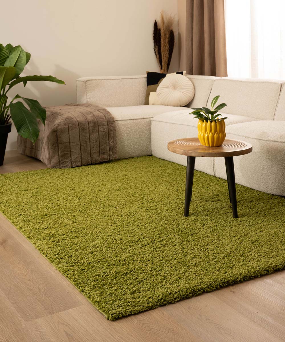 Tapis poils longs Shaggy Trend - vert - sfeer Tapis poils longs Shaggy Trend - vert - sfeer