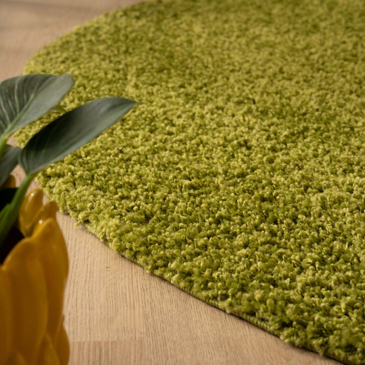 Tapis Rond poils longs Shaggy Trend - vert - close up Tapis Rond poils longs Shaggy Trend - vert - close up