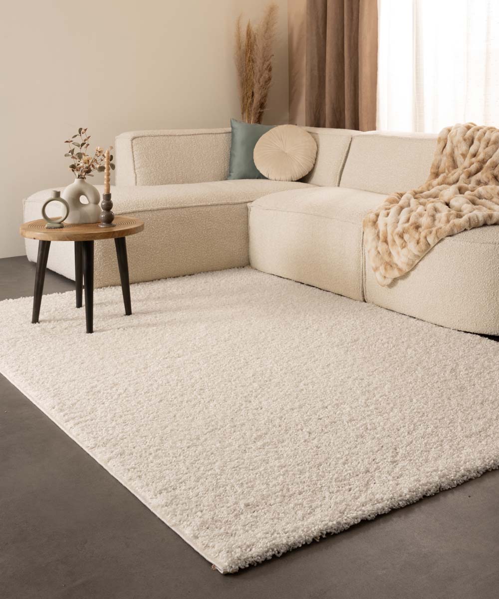 Tapis poils longs Shaggy Trend - ivoire - sfeer Tapis poils longs Shaggy Trend - ivoire - sfeer