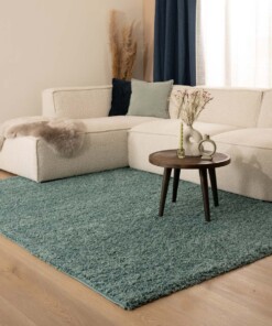 Tapis poils longs Shaggy Trend - bleu clair - sfeer
