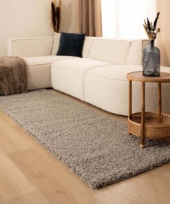 Tapis de couloir poils longs Shaggy Trend - gris clair - sfeer