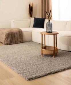 Tapis poils longs Shaggy Trend - gris clair - sfeer
