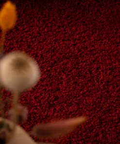 Tapis Rond poils longs Shaggy Trend - rouge - close up, thumbnail Tapis Rond poils longs Shaggy Trend - rouge - close up, thumbnail