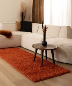 Tapis de couloir poils longs Shaggy Trend - terracota - sfeer, thumbnail
