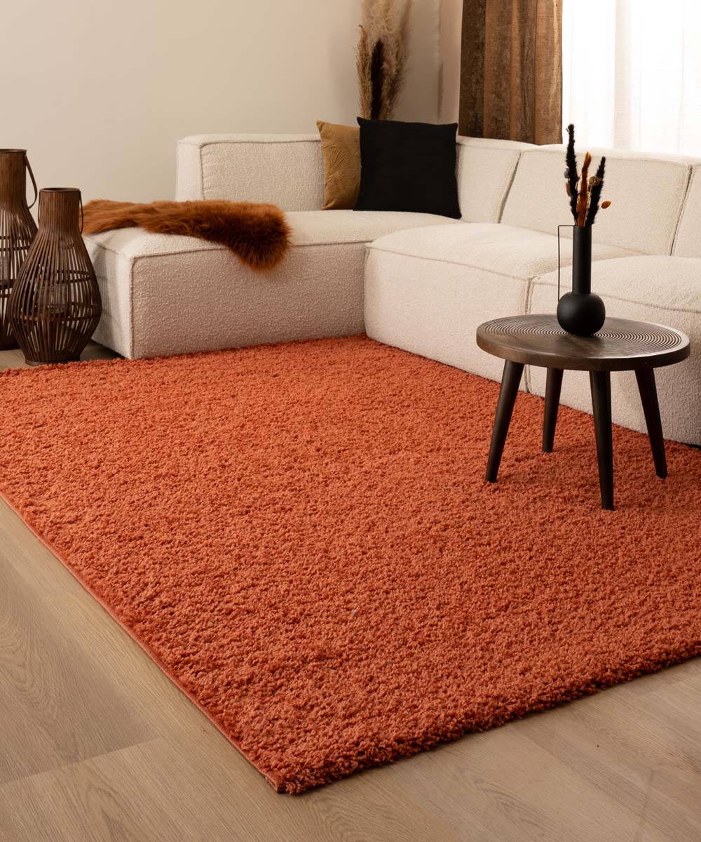 Tapis poils longs Shaggy Trend - terracota - sfeer Tapis poils longs Shaggy Trend - terracota - sfeer