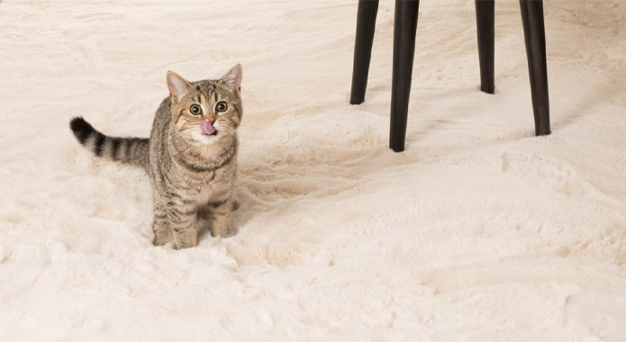 Tapis moelleux poils longs - Comfy Plus - Crème Tapis moelleux poils longs - Comfy Plus - Crème