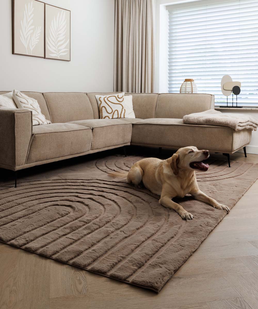 Tapis moelleux - Carvy Taupe Tapis moelleux - Carvy Taupe