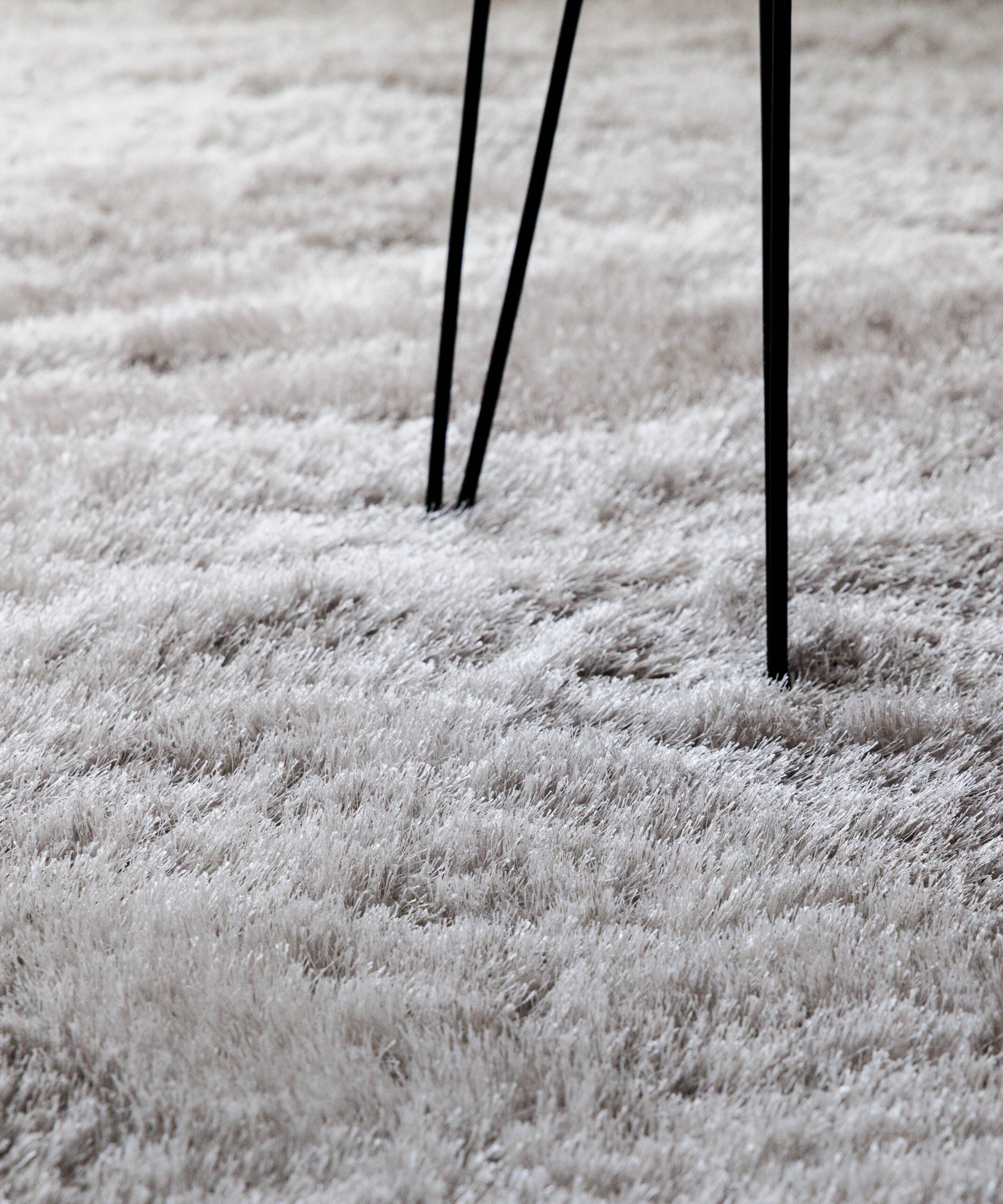 Tapis en velours - Posh argent clair - close up Tapis en velours - Posh argent clair - close up