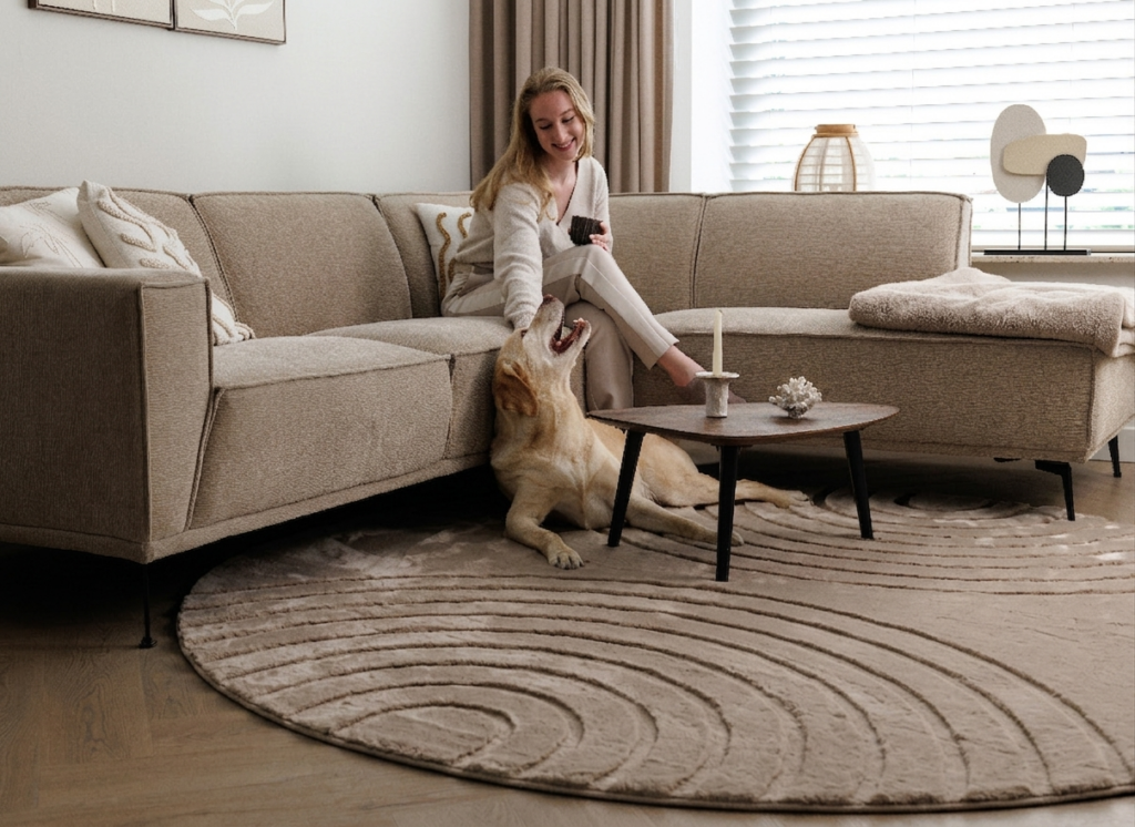 Pourquoi un Tapis S’Aplatit et Comment Choisir un Modèle qui Garde son Volume